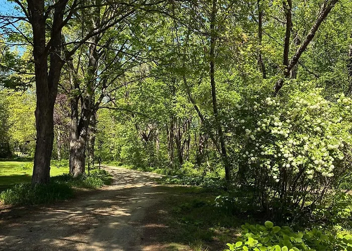 8 Acres Of Privacy Your Group Escape * Rockford