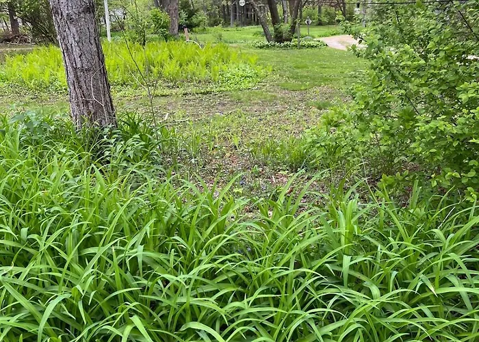 Hébergement de vacances 8 Acres Of Privacy Your Group Escape Rockford