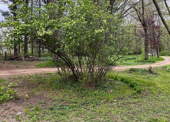 8 Acres Of Privacy Your Group Escape Hébergement de vacances Rockford
